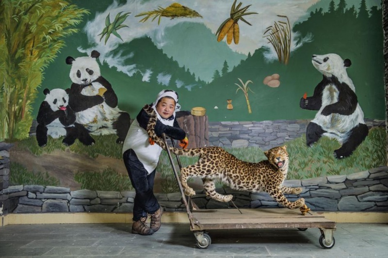 Топ-52 фото 2016 года: National Geographic выбрал лучшие снимки