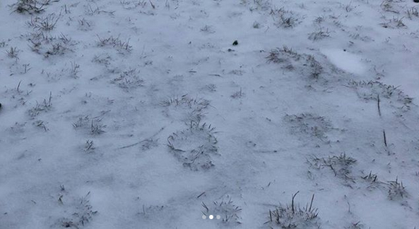 В России выпал снег в первый день лета (фото)