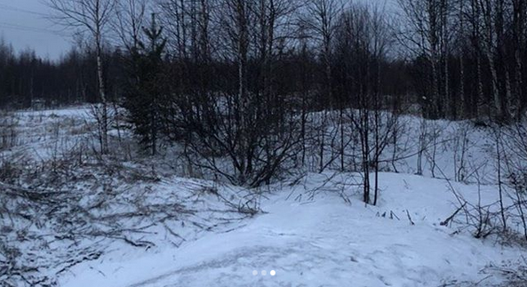 В России выпал снег в первый день лета (фото)