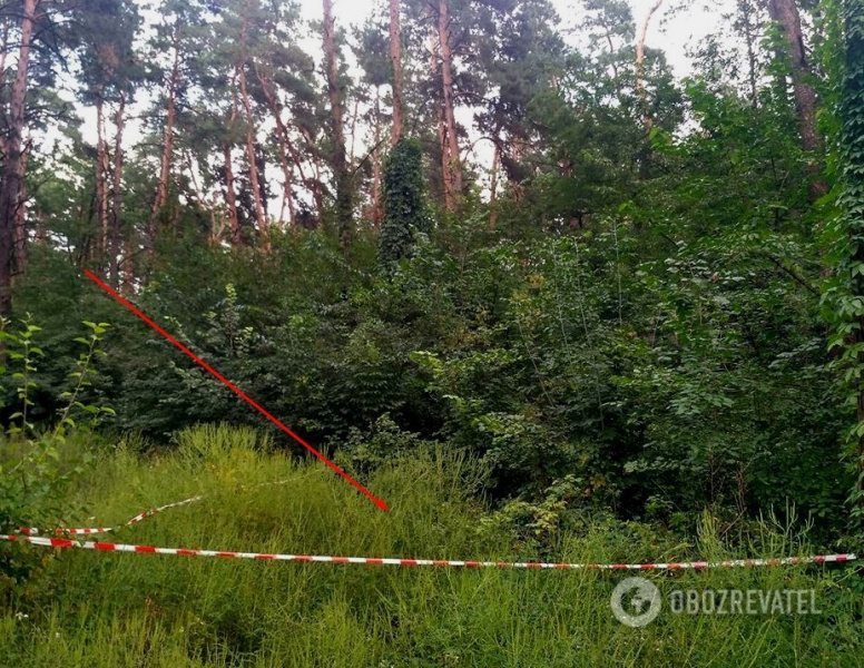 Найдено несколько женских тел: жители Киева предполагают, что в городе орудует маньяк
