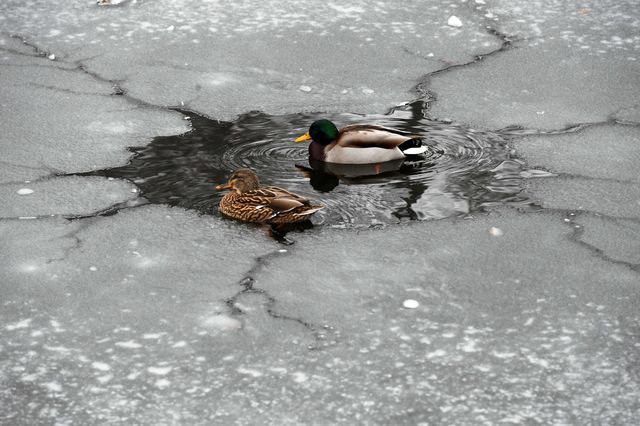 Опубликованы потрясающие фото непогоды в Европе