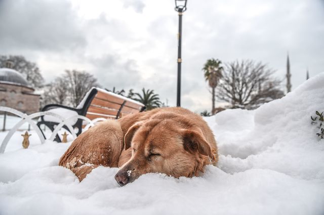 Опубликованы потрясающие фото непогоды в Европе