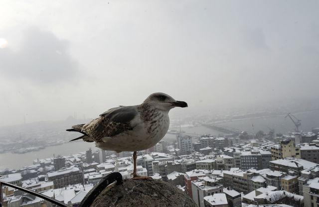 Опубликованы потрясающие фото непогоды в Европе