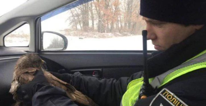 Українські копи врятували від загибелі незвичайну жертву (фото)