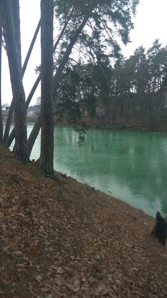 Еко-катастрофа? Під Києвом вода в озері різко поміняла колір