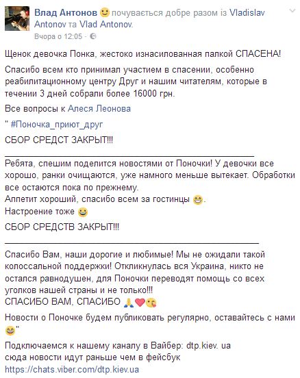 Волонтеры спасли щенка, жестоко изнасилованного палкой