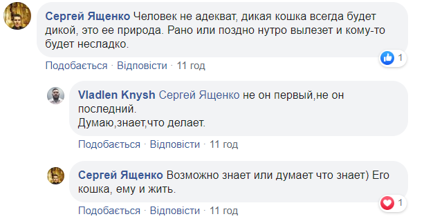 В центре Киева снова заметили леопарда: хищника сняли на видео