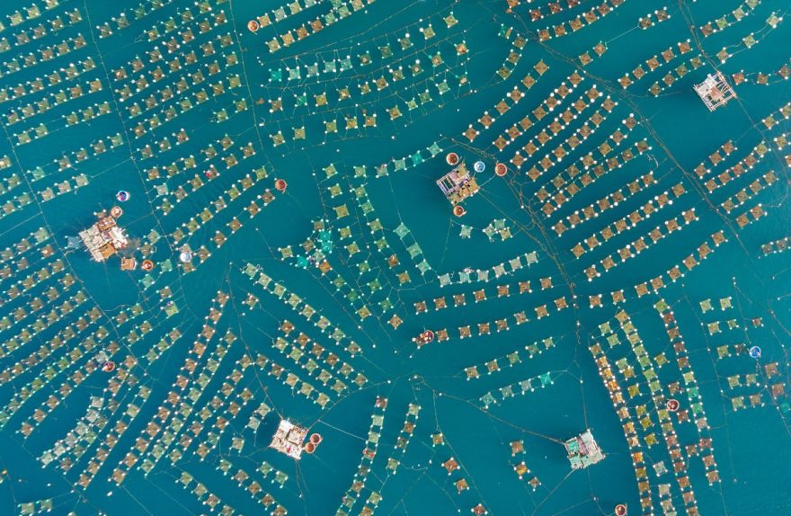 З висоти пташиного польоту: обрані кращі фото, зроблені з дронів