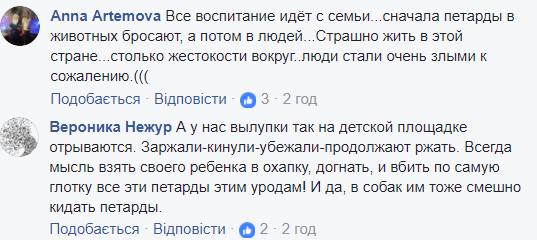 &quot;Спочатку в тварин, а потім в людей&quot;: у Києві підлітки закидали петардами офіси