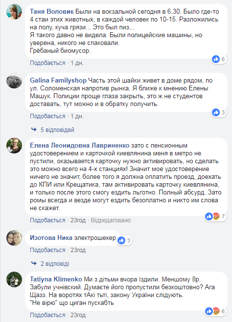 "Ціла отара": киян обурила навала ромів в метро