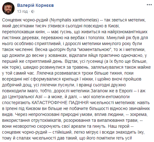 Стало відомо, звідки в Києві так багато метеликів
