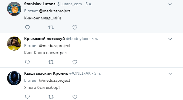 &quot;Я б так не зміг&quot;: мережу вразив єнот, який 20 годин ліз на хмарочос (відео)