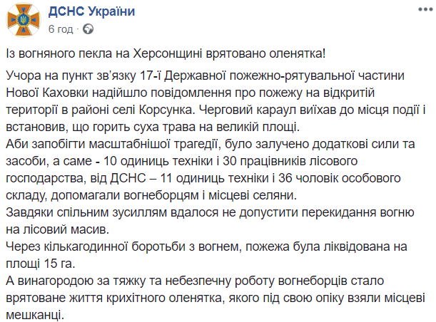 В Херсонской области пожарные спасли из огня олененка (фото)