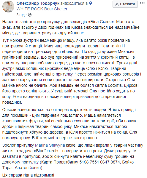 "Слезы наворачиваются на глаза": под Житомиром работает уникальный приют для медведей (фото)