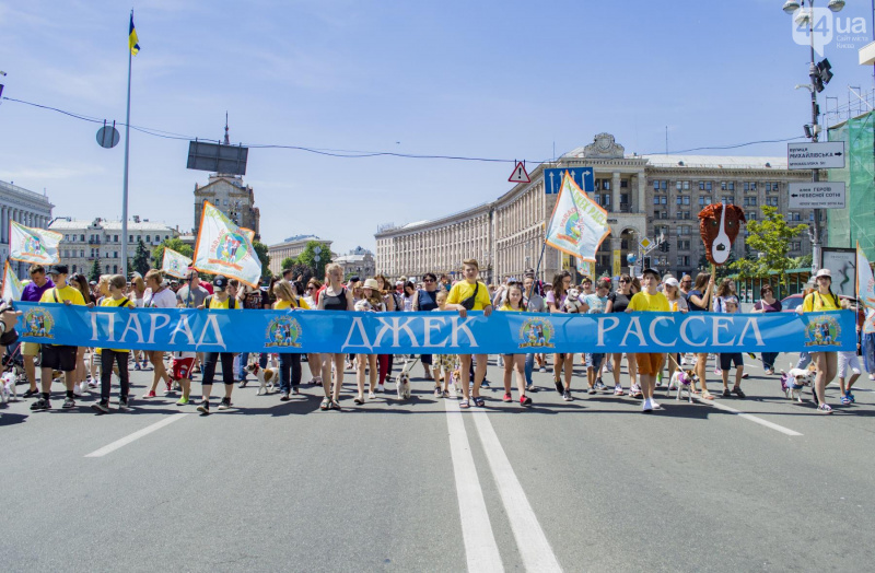 У Києві пройшов парад собак породи джек-рассел-тер'єр (фото)