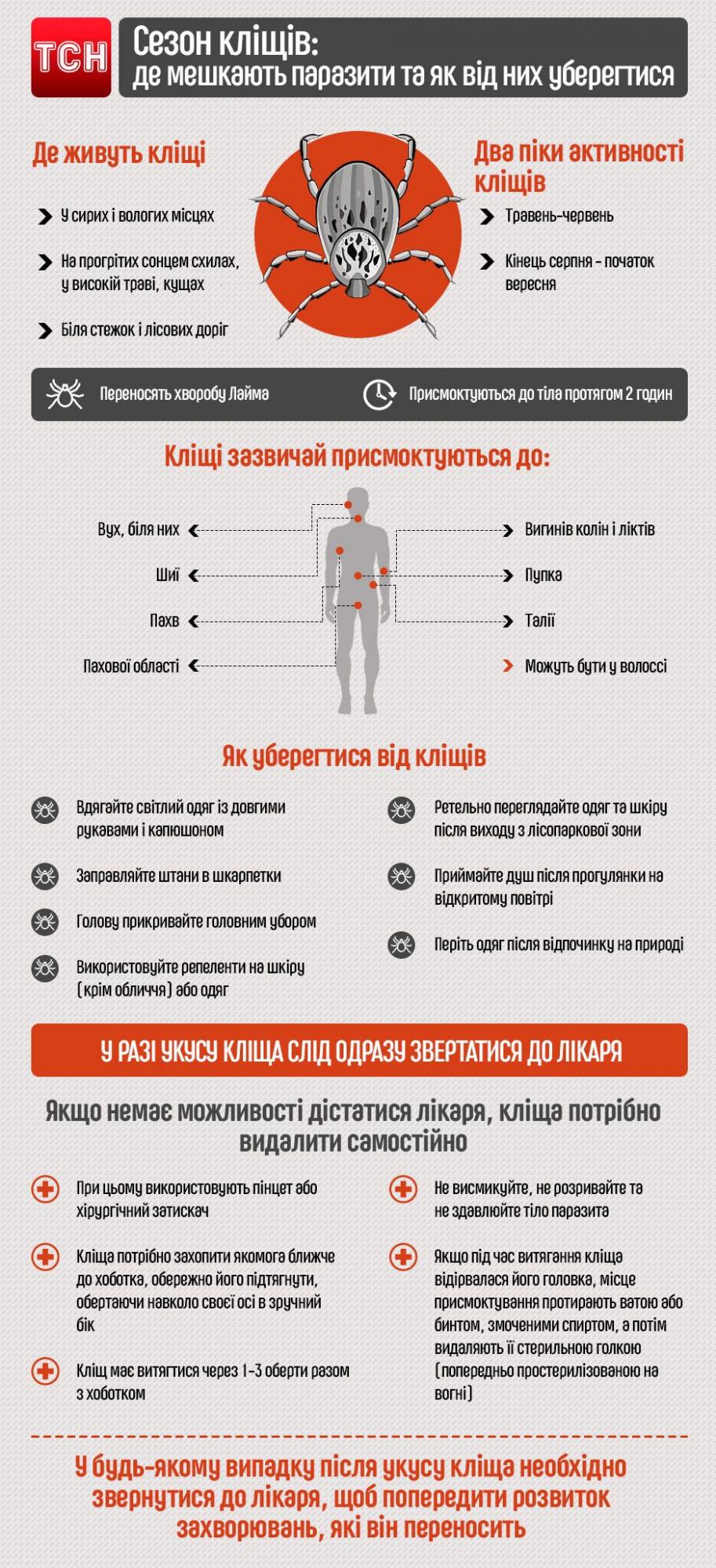 В Киеве начали атаку клещи: что делать при их укусе