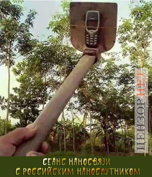 Тепер тільки поштовим голубом: Соцмережі висміяли заборону чиновникам користуватися WhatsApp і Viber