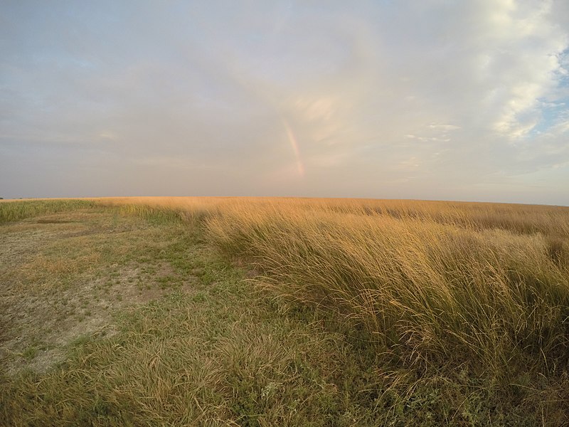 Відпочинок з комфортом: п'ять незвичайних і затишних місць на Чорному морі