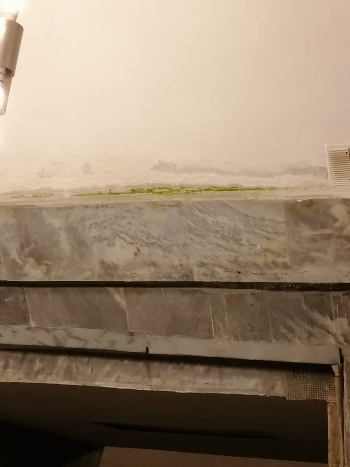 У метро Києва помітили дивну "зелень" (фото)