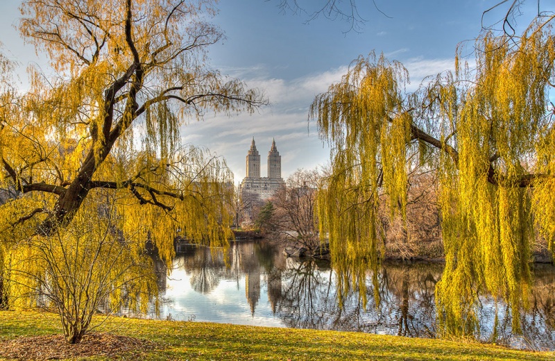 Осень в Нью-Йорке: опубликованы завораживающие фото мегаполиса