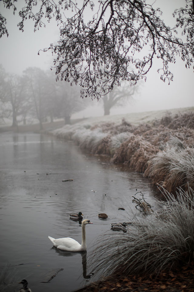 Фотографи показали туман в Англії