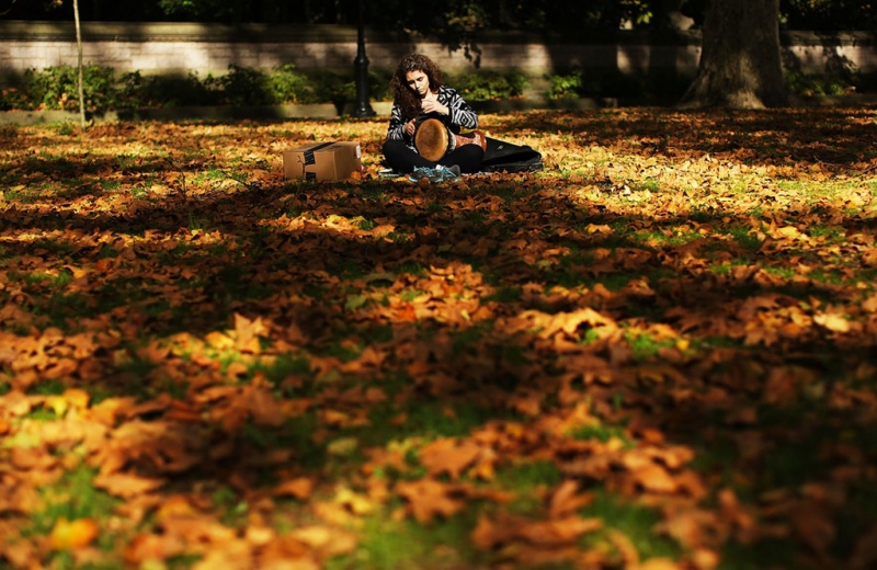 Осень в Нью-Йорке: опубликованы завораживающие фото мегаполиса
