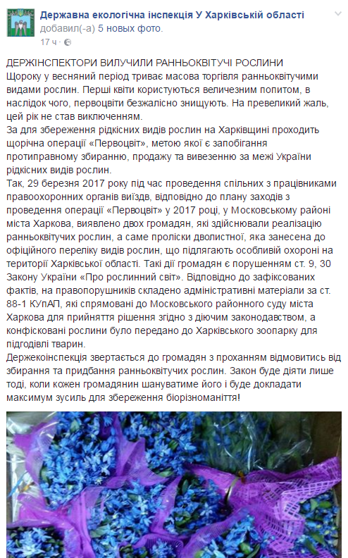 В Харьковском зоопарке медведям отдали на съедение конфискованные пролески