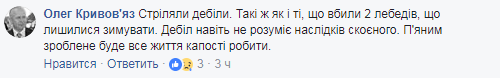 "Просто так, ради забавы": в Одесской области браконьеры застрелили краснокнижного сокола (фото)
