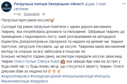 Запорожские &quot;копы&quot; спасли истощенную косулю (фото)