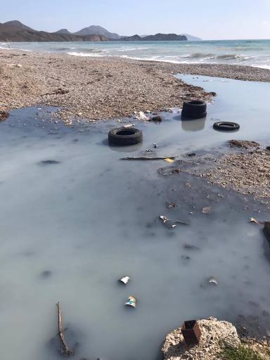 "Брудне, смердюче болото": у Криму назріває екологічна катастрофа (фото)