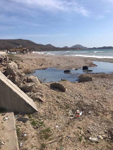 "Брудне, смердюче болото": у Криму назріває екологічна катастрофа (фото)