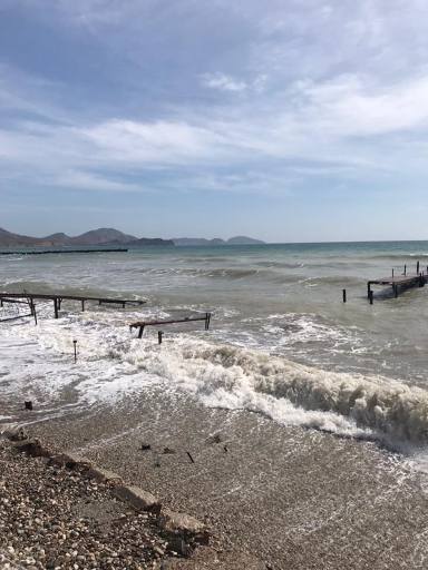 &quot;Грязное, вонючее болото&quot;: в Крыму назревает экологическая катастрофа (фото)