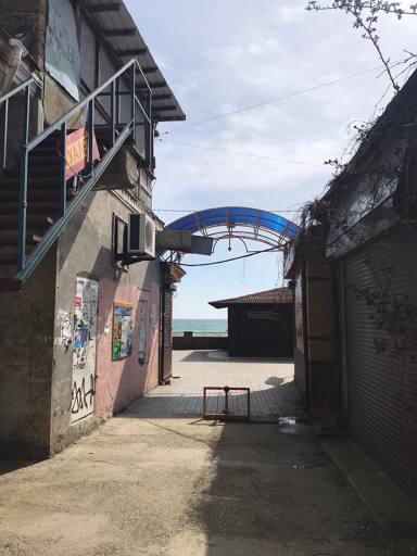 "Брудне, смердюче болото": у Криму назріває екологічна катастрофа (фото)