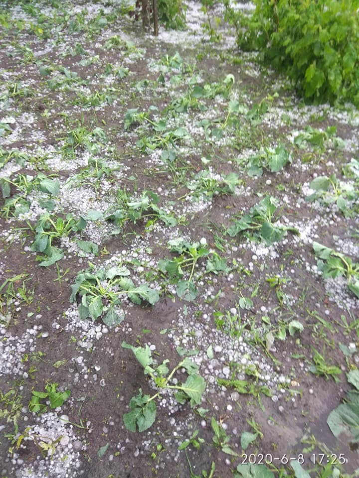 На Украину обрушился сильнейший град: урожай уничтожен (фото)