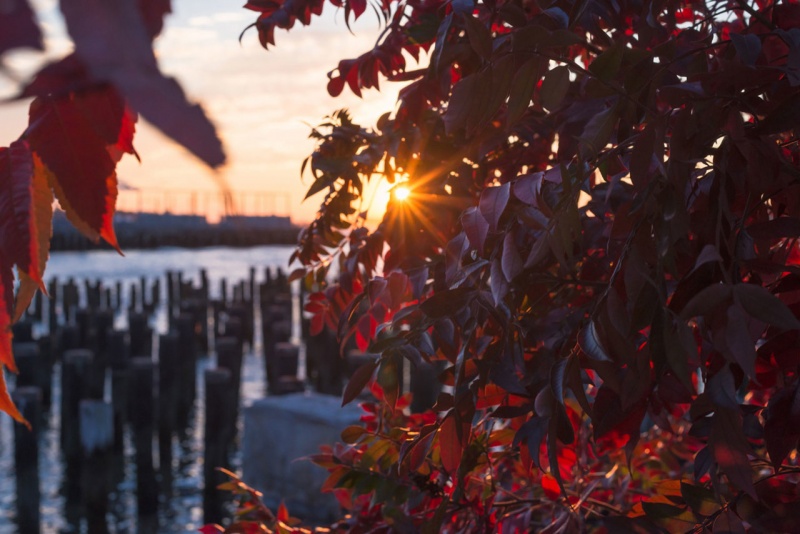 Осінь у Нью-Йорку: опубліковані чарівні фото мегаполісу