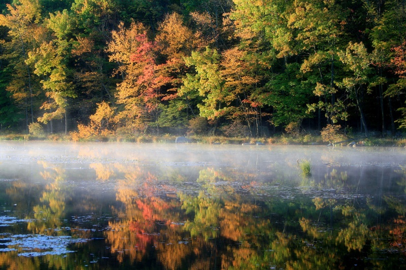 Осень в Нью-Йорке: опубликованы завораживающие фото мегаполиса