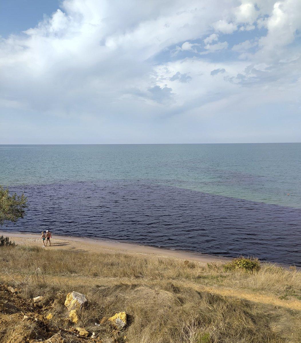 Росіяни перетворюють Крим у смітник: нові фото морського "пейзажу"