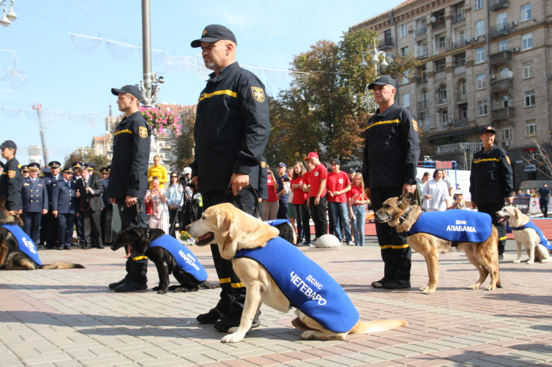 Видео дня: ГСЧС показала, как поблагодарила собак-спасателей