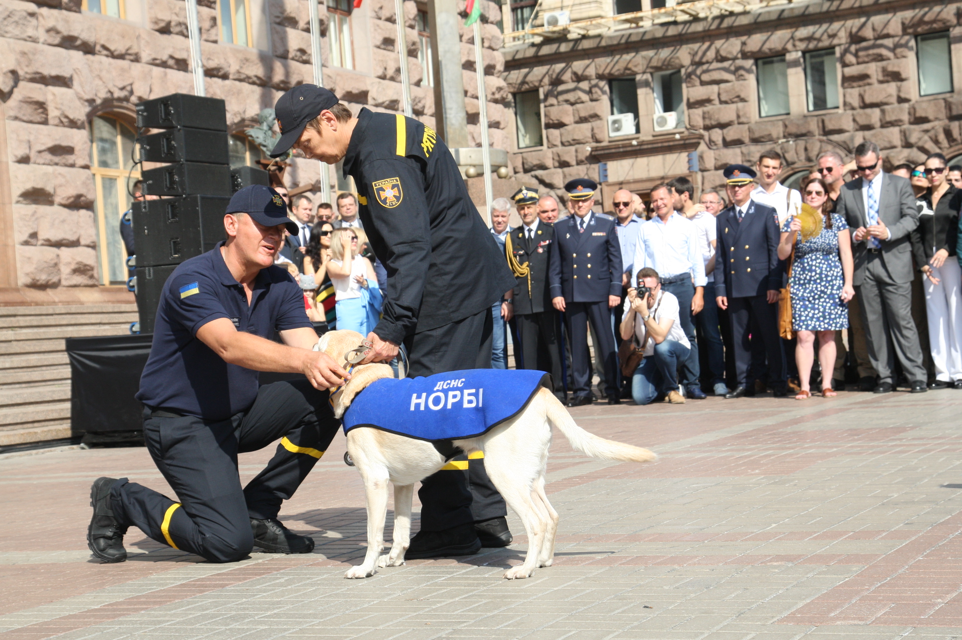Видео дня: ГСЧС показала, как поблагодарила собак-спасателей