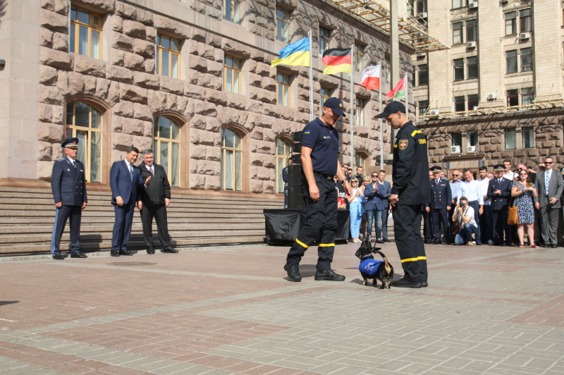 Видео дня: ГСЧС показала, как поблагодарила собак-спасателей