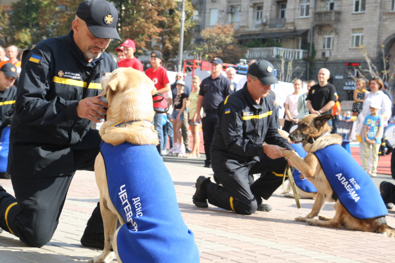 Видео дня: ГСЧС показала, как поблагодарила собак-спасателей