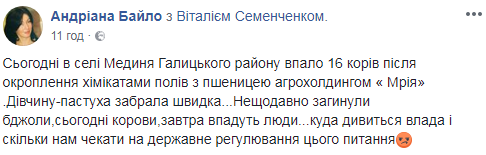 В Івано-Франківській області стадо корів отруїлося через хімікати на полях (фото)