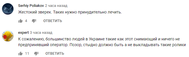 Вмешались: в Николаеве авто сбило молодчика, избивавшего человека на дороге (видео)
