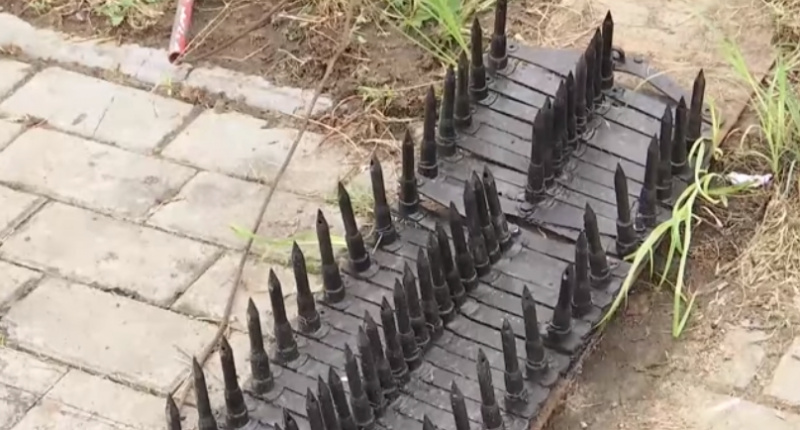 Остановили "кактусы": иностранец штурмом взял украинско-польскую границу