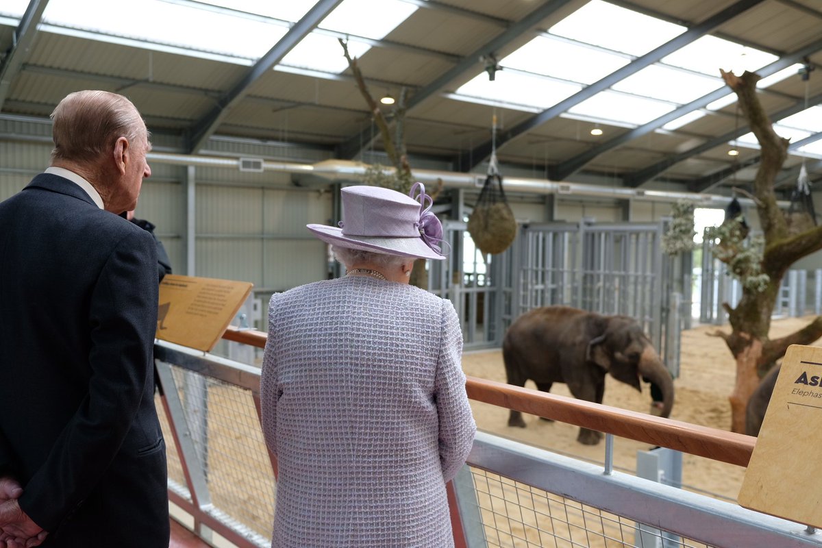 Елизавета II познакомилась с тезкой - 8-месячным слоненком