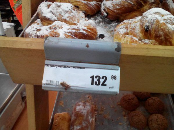 Єнакієве в руїнах: як виглядає сьогодні мала батьківщина втікача Януковича (фото)