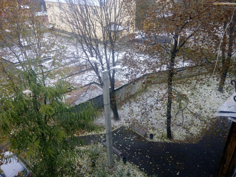 Білі мухи: Харків засипало першим снігом