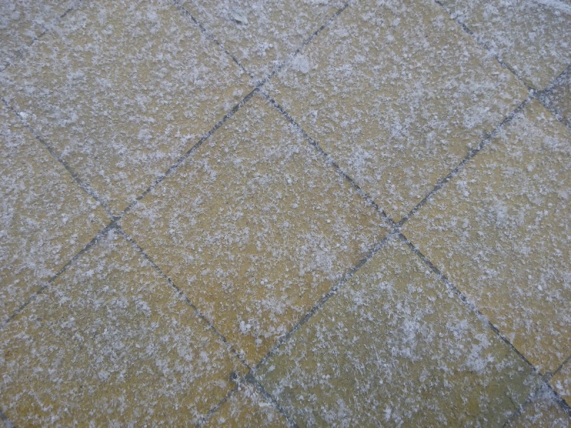 Білі мухи: Харків засипало першим снігом