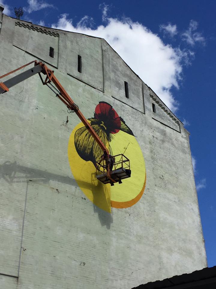 Итальянец создает огромный мурал с цветком в Киеве
