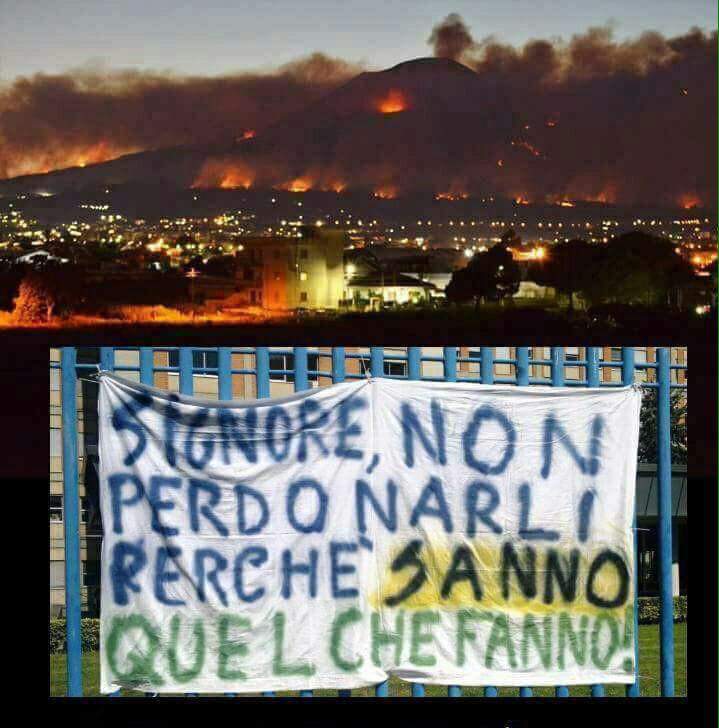 В сети показали катастрофический пожар на Везувии